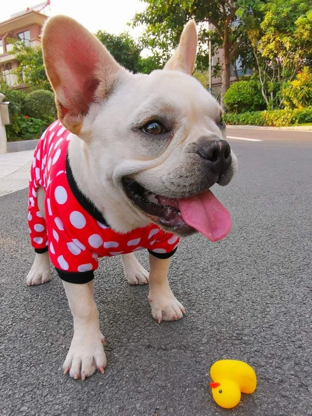 CuteBone Red Polka Dot Dog Pajamas Small Puppy Onesie NWOT